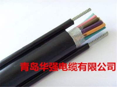 特種電線電纜的定義及種類，你知道嗎